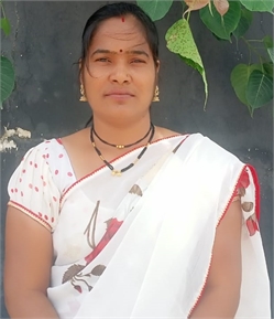 vaisahli baba saheb santmare - Part time Cleaner and Baby Sitter in Wagholi in Pune