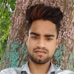 Vikas Rathaur - Full time Cleaner and Cook in Shikohabad in Firozabad