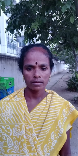 yallamma - Part time Cleaner and Cook and Patient Care and Elderly Care and Baby Sitter in Panathur, Bengaluru, Karnataka in Bangalore Bengaluru