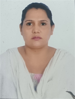 Zeenat Ansari - Part time Baby Sitter in Madipur in Delhi
