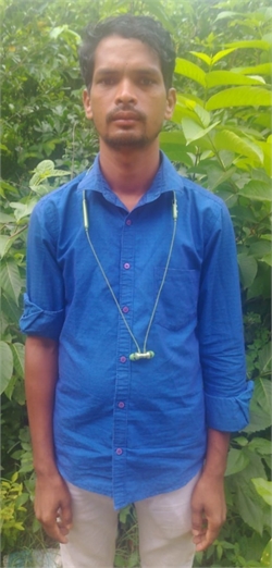 luna - Full time Patient Care and Elderly Care in gajapati in Mumbai
